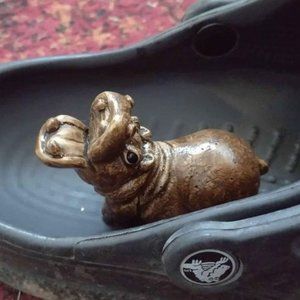 North American House Hippo